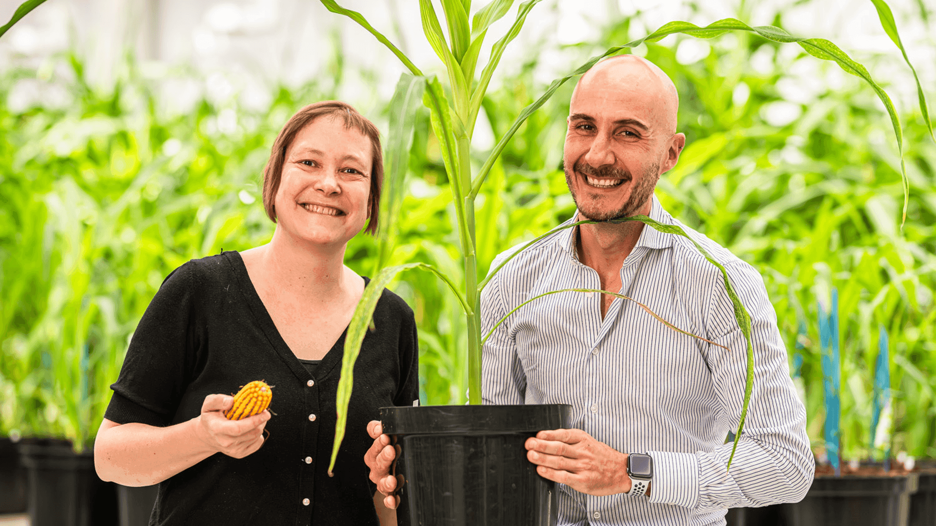 Бельгийский стартап Rainbow Crops привлёк €9.7 млн на развитие AI‑платформы для инженерии сельхозкультур