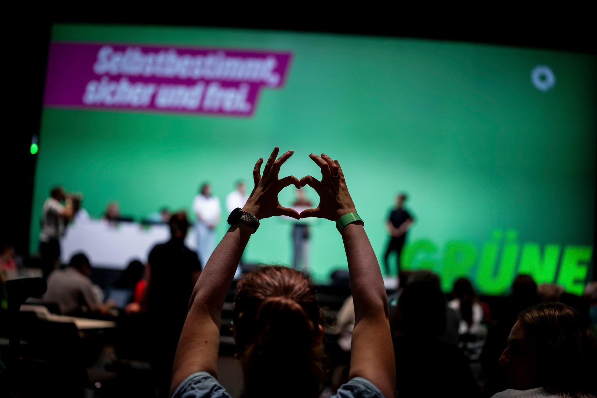 Немецкие «Зелёные» выступают против Palantir, но не против автоматизированного анализа данных полиции