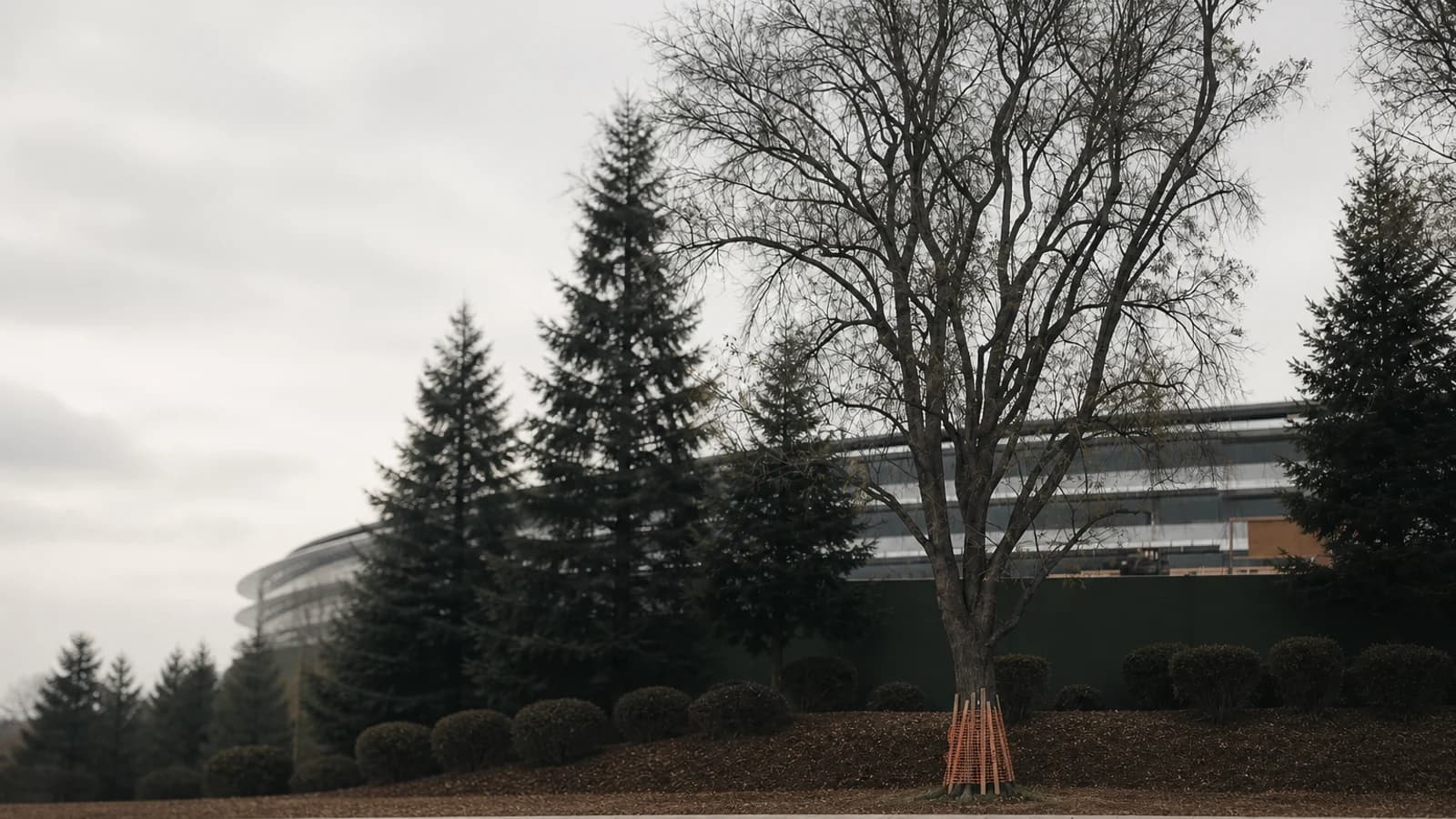 Штаб-квартира Apple Park в Купертино