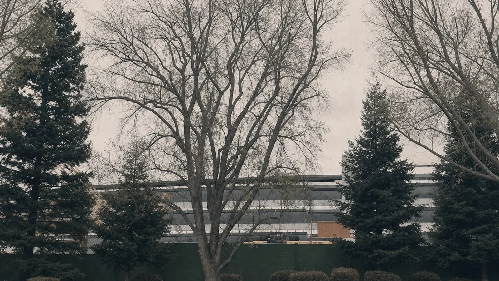 Штаб-квартира Apple Park в Купертино