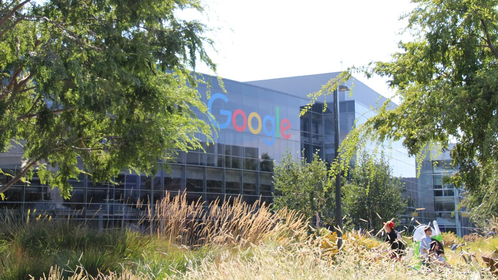 Цветная вывеска Google на фасаде офисного здания среди деревьев