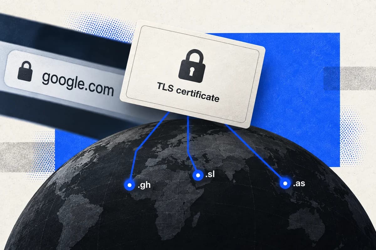 Карточка TLS-сертификата перед адресной строкой google.com и тремя сетевыми узлами .gh, .sl и .as.