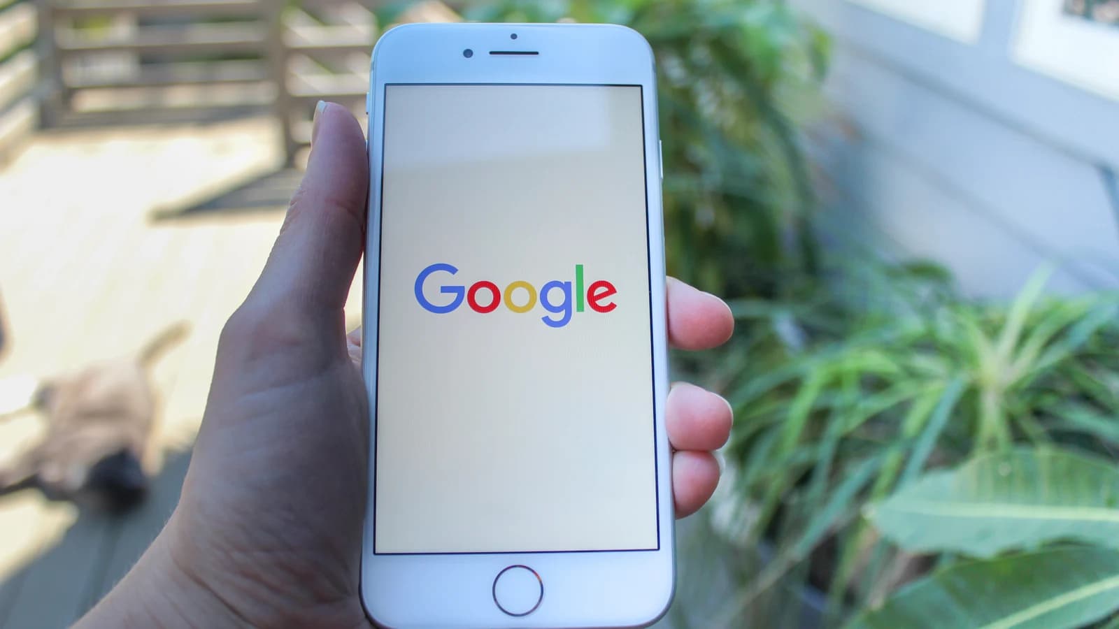 Смартфон в руке с логотипом Google на экране
