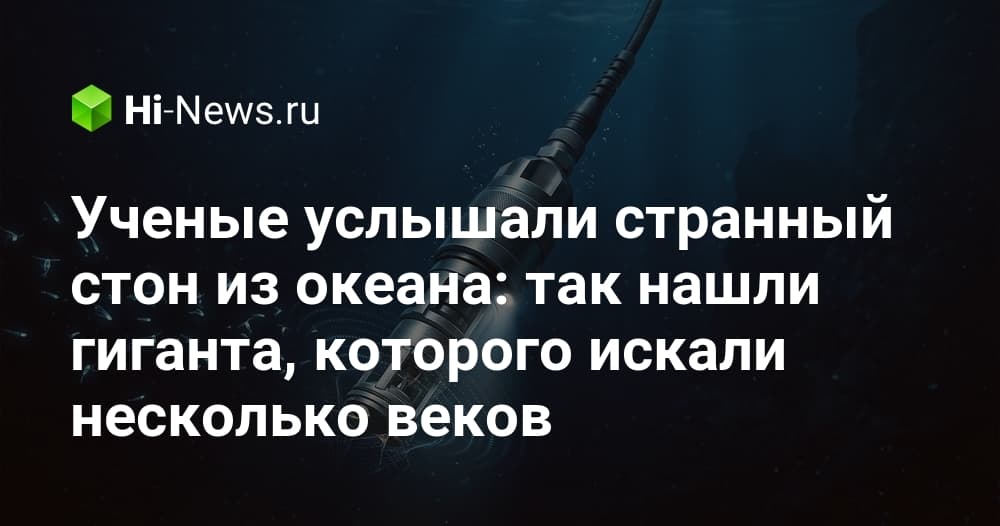 ИИ помог установить источник загадочного звука «Биотванг» из Марианской впадины